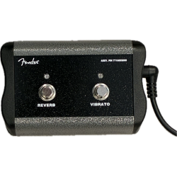(DEMO) Fender Tone Master Deluxe Reverb Amp